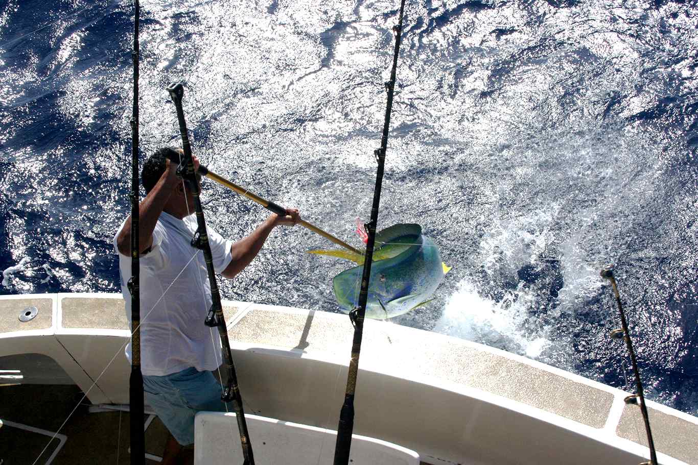 Pêche au gros à Maurice